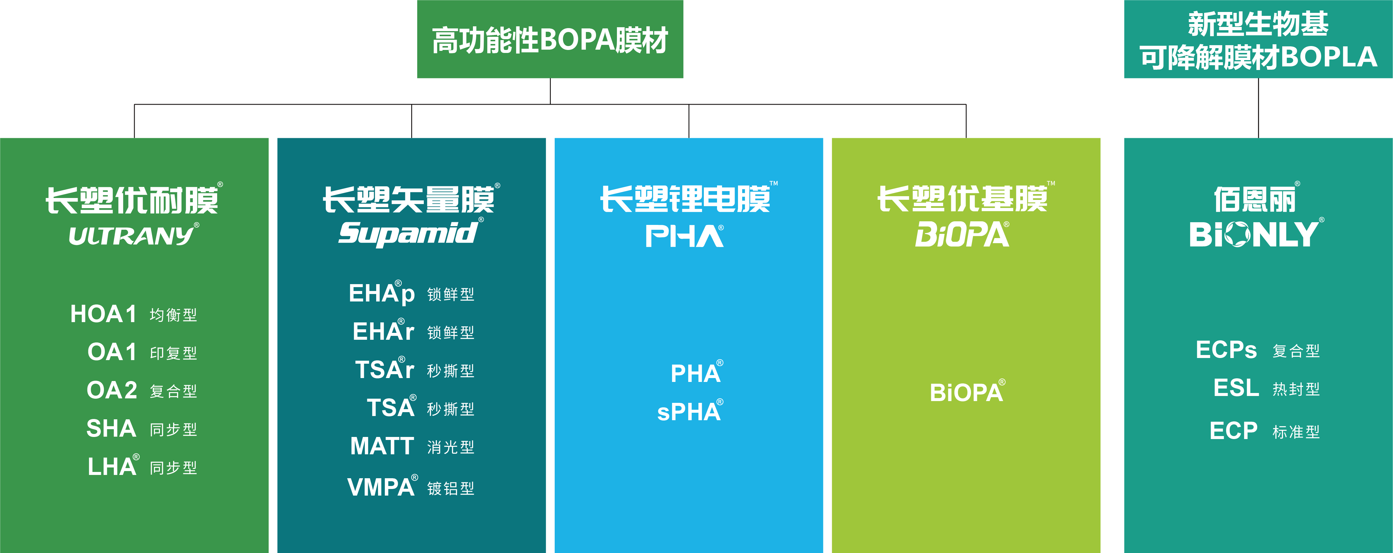 PA�콢��(�й���)�ٷ���վ-PlayAce