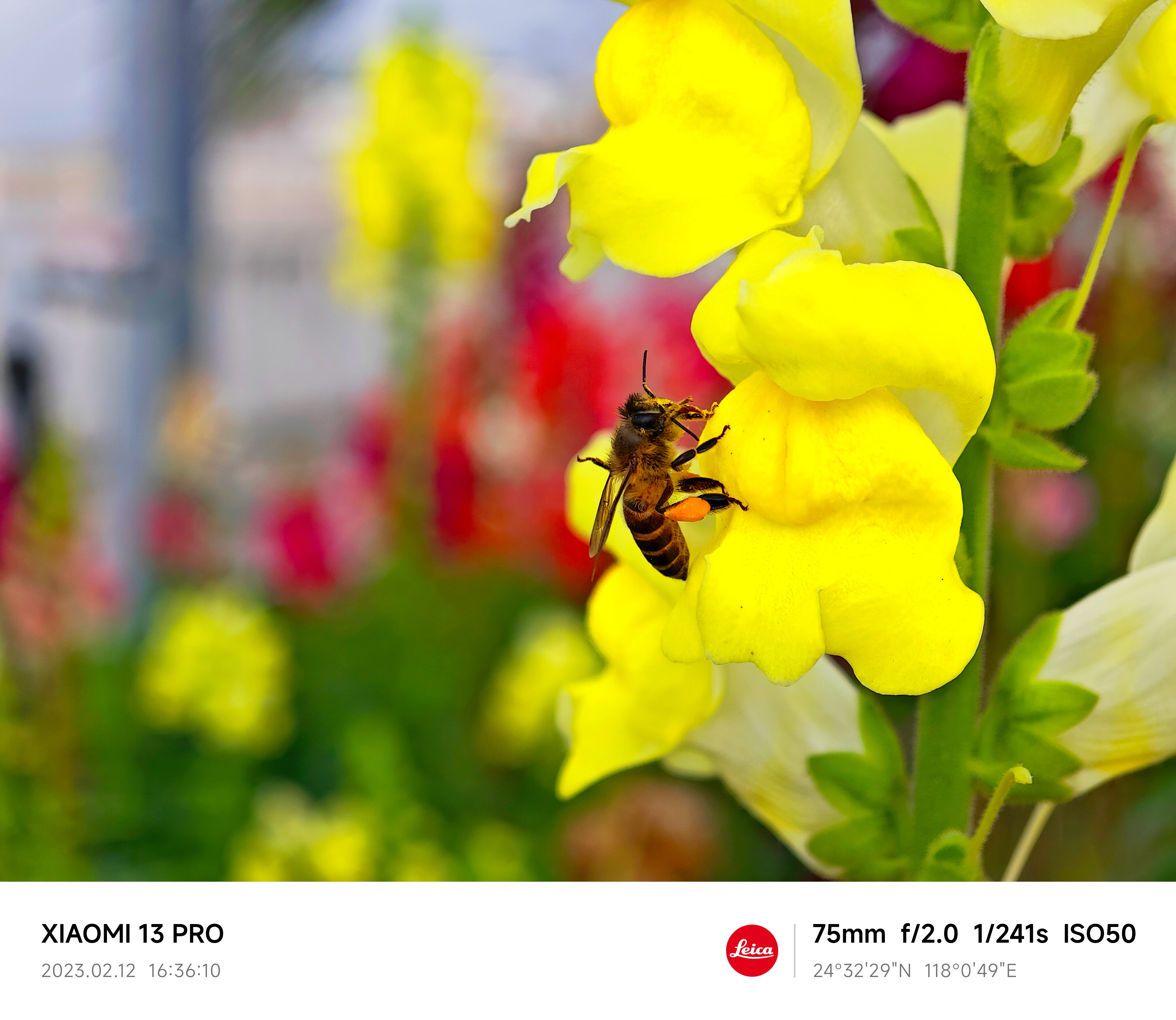 PA�콢��(�й���)�ٷ���վ-PlayAce