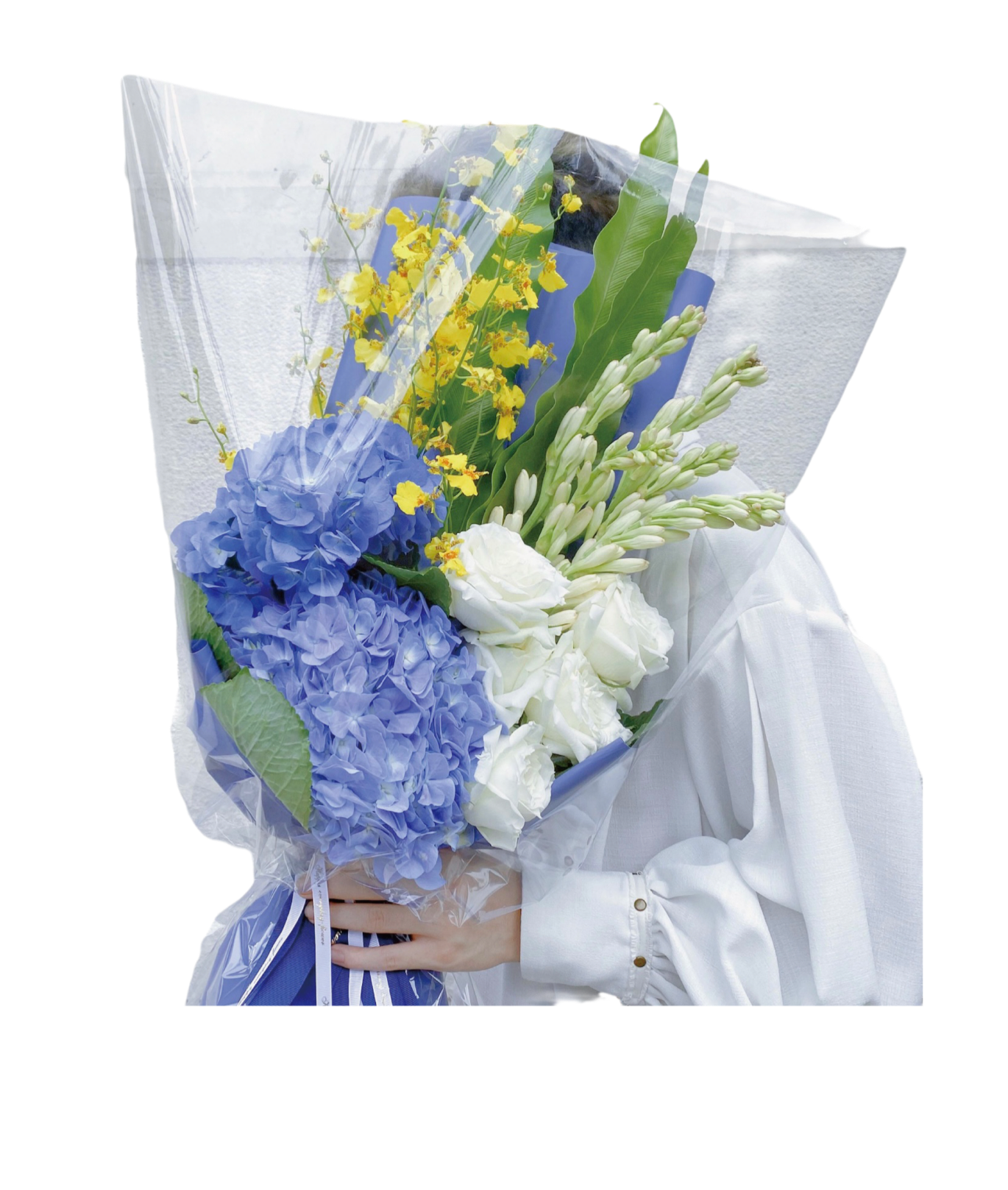 PA�콢��(�й���)�ٷ���վ-PlayAce